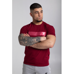Wear Basic Tshirt 136 T Maroon