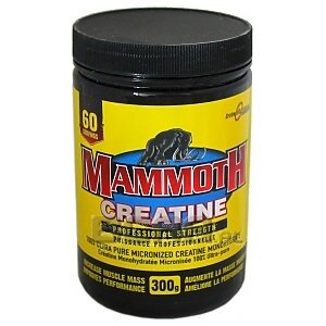 Interactive Mammoth Creatine 300g  1/1