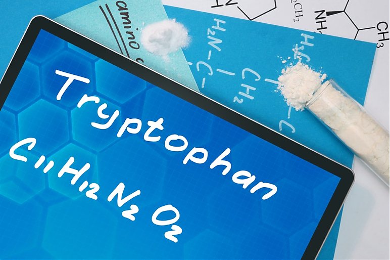 Po jakim czasie działa tryptofan?