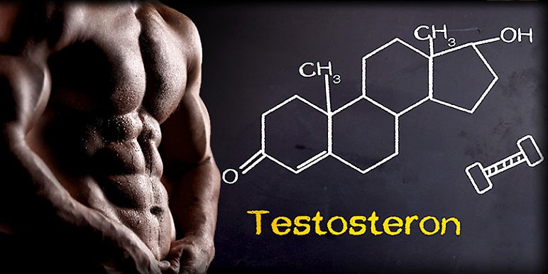 Jak podnieść poziom testosteronu u mężczyzn? Dieta i suplementy