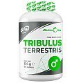 6Pak Nutrition Effective Line Tribulus Terrestris