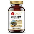 Yango Boswellia 65