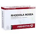 Formotiva Rhodiola Rosea
