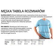 Under Armour Men`s Tech Short Sleeve T-Shirt 1228539-038 ciemnoszary 3/3