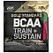 Optimum Nutrition Gold Standard BCAA Train + Sustain darmowa próbka do zamówienia za 150zł